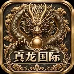 真龙国际